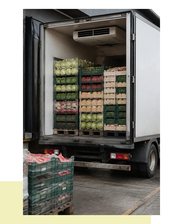 Перевозка плодоовощной продукции оптом напрямую в Новороссийск