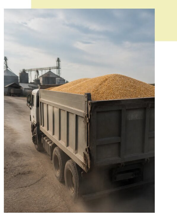 Перевозка сельхозпродукции навалом в Новороссийск по цене от 3062 р. | Агросервис-Нвр