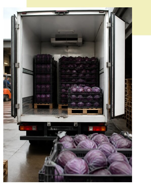 Перевозка краснокочанной капусты в Новороссийск по цене от 5104 р. | Агросервис-Нвр